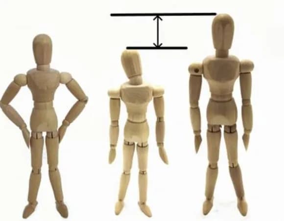 【悲報】アジアの平均身長「中国175cm、韓国174cm、タイ171cm、日本170cm」←あのさぁ・・・・