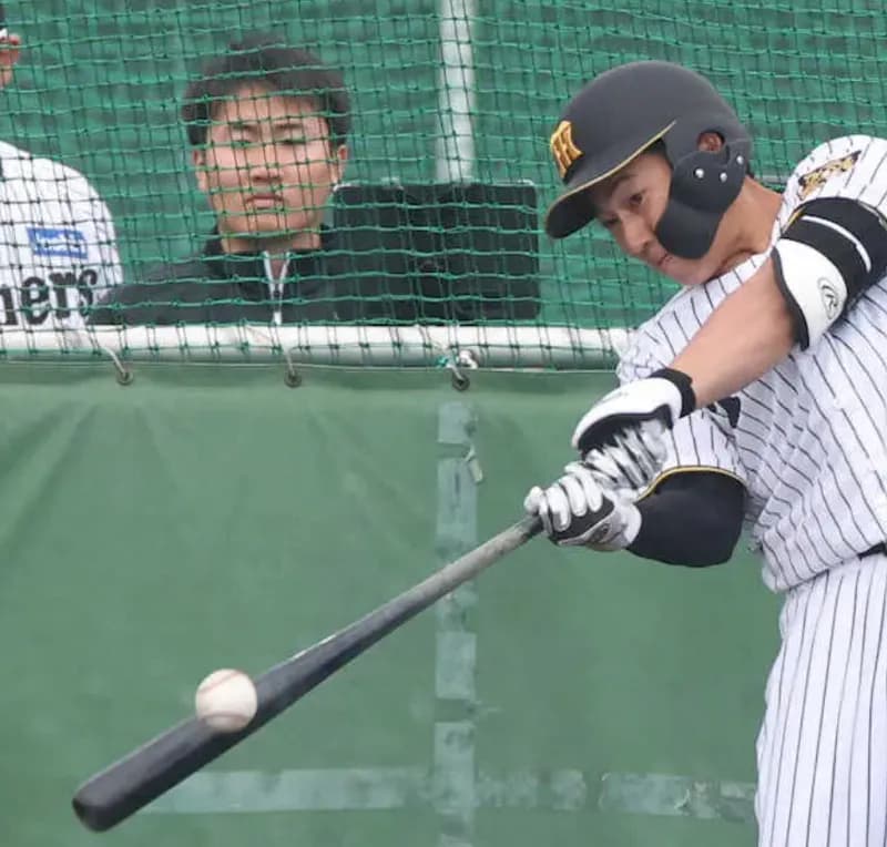 『TBS式長打率』、バケモノ級の数字を叩き出した虎戦士がこちら