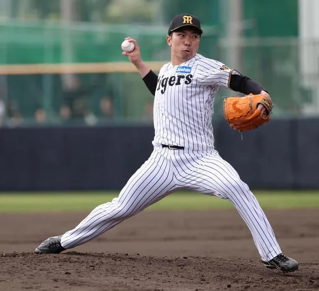 阪神石井、今季絶望か