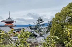 【悲報】京都市バス、よそ者は350~400円へ値上げwwwwwwwww