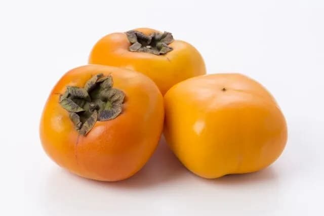 なぜ柿はミカンやリンゴになれなかったのか