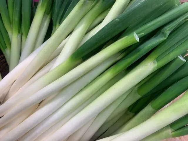 「ネギ」がメインの料理、ない