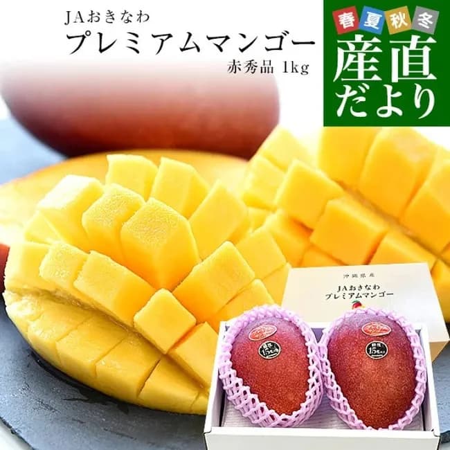 【悲報】JA職員、月236時間残業34連勤でマンゴー収穫して半身麻痺