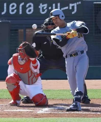 【阪神】ドラ3岡城快生が初スタメンで結果 島内の速球はじき返す「積極的な気持ちを忘れずに」