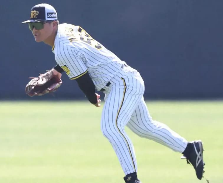 阪神のレフトレギュラー、ほぼ決まりか...高寺もっと見たいんやけどなぁ層が厚すぎる