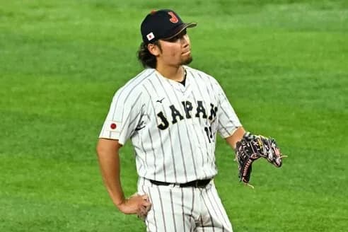 伊藤大海(2025)「2.52 14勝 8敗 195奪三振 WHIP1.06」 ←沢村賞