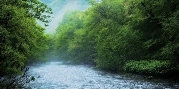 【画像】 環境に優しい集合住宅がヤバいwwwwwwwwwww