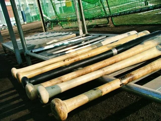 野球ってバッターだけバット選べるの卑怯じゃない?