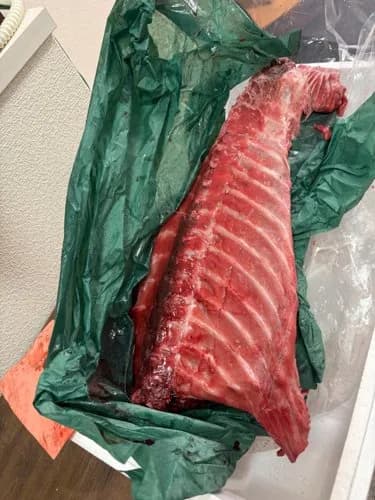 【画像】ネギトロ丸ごと一匹買った結果wwwwwwwwww