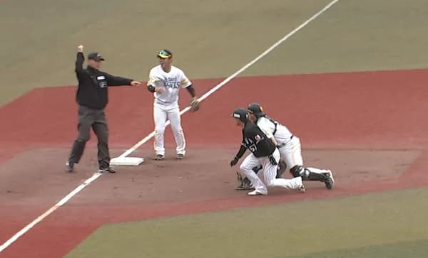 【勝利】ホークスファン集合(2026.4.5)