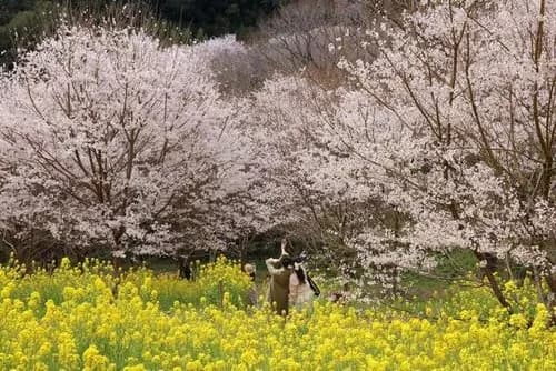 【衝撃】40代女性に噛みついた89歳男性、そのまま即死・・・・・・・・・