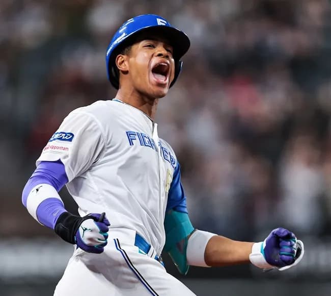 万波中正 .310(29-9) 5本 10打点 OPS1.301