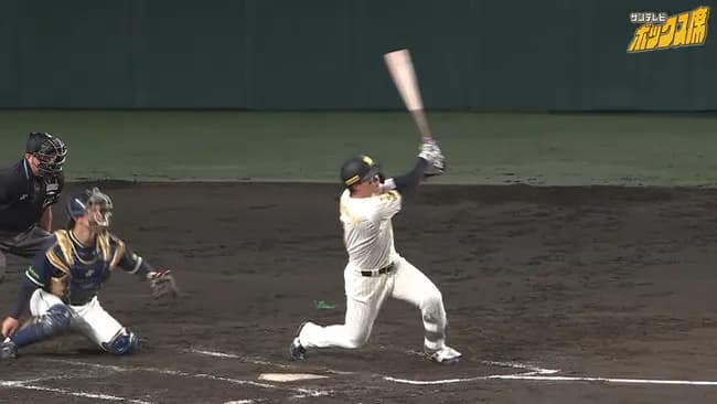 森下翔太(東海大相模→中央大)が外れ1位で余ってた理由wwwwwwwwwwwwwwwwwwww