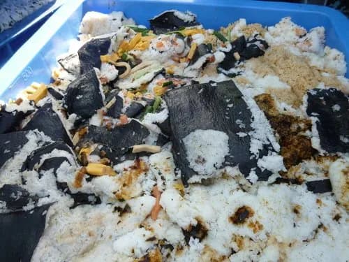 【爆笑】毎日コンビニ食品1万円分食べるのを1年続けたら1億円もらえるwwwwwwwwww