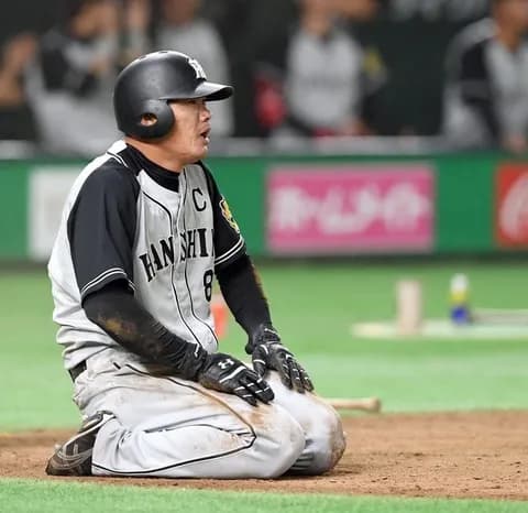 この画像を面白くしてほしい