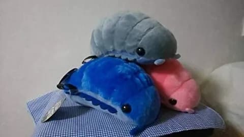 【画像】2021年やしダンゴムシのぬいぐるみコレクション貼ってもええか?