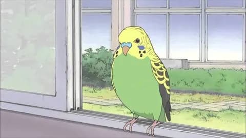 インコ「人間に戻して…」