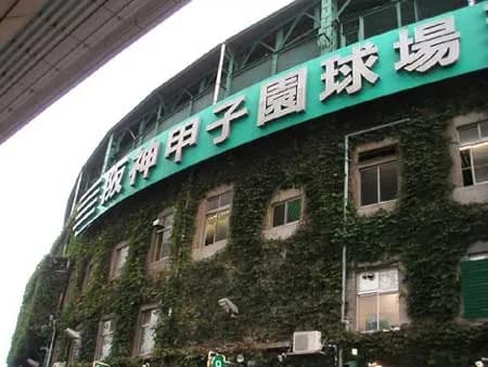なんで甲子園球場に屋根をつけよう!ってならないんや?