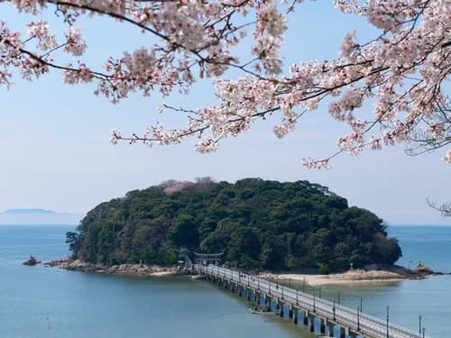 【困惑】なんで韓国さんに竹島あげたら駄目なの?・・・・・・・・・