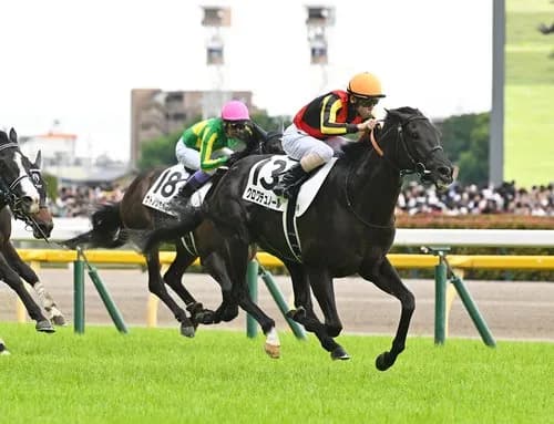 【悲報】「パち◯こで100万円勝つ」←不可能、「競馬で100万円勝つ」←5分wwwwwwwwww