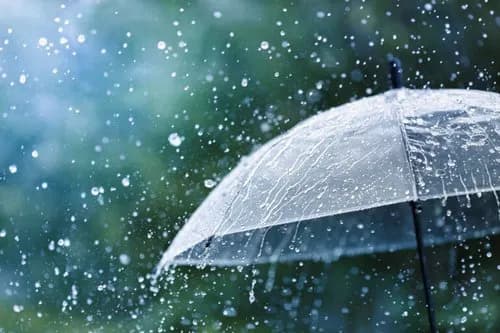 【悲報】平安人「雨か傘をさそう」江戸人「雨か傘をさそう」令和人「雨か傘をさそう」・・・・・・・・・