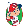 logo image of carp