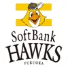 logo image of hawks