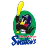 logo image of swallows