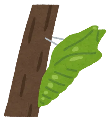 進化論ってサナギから蝶に変わる虫とかはどう説明してるの？