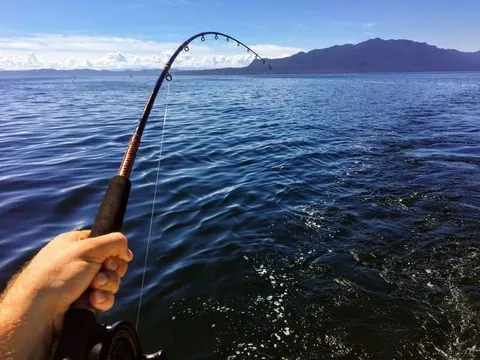 (ヽ´ん`)「川釣りでアジが大漁大漁。しかも自分で釣ればタダという最強のコスパ」